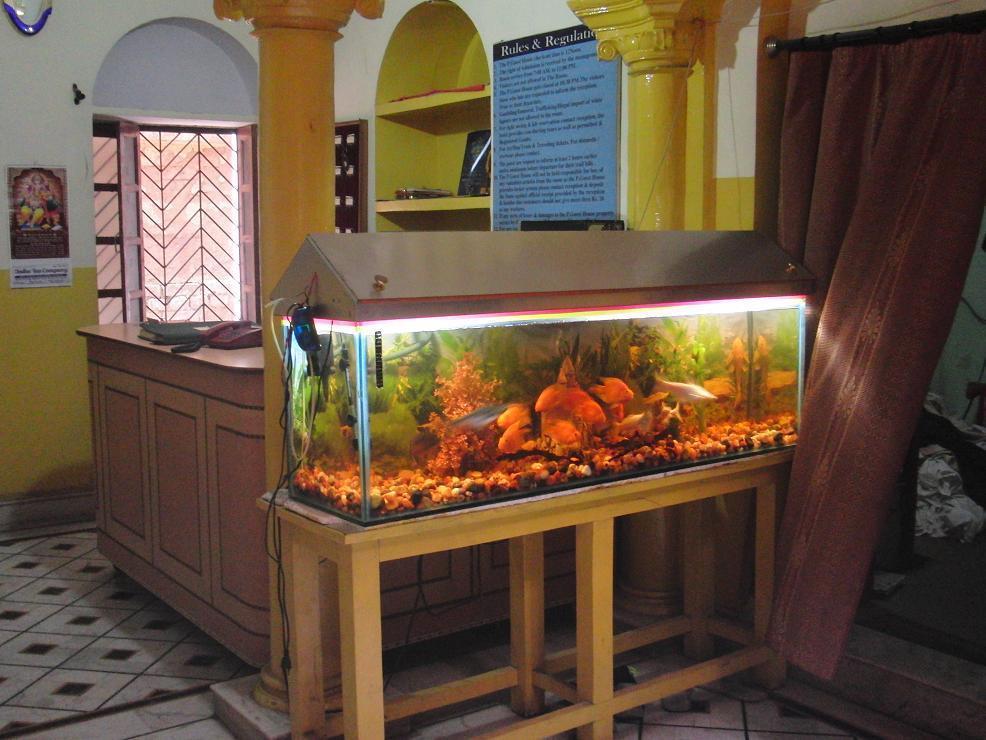 Shivakashi Guest House Varanasi Ngoại thất bức ảnh